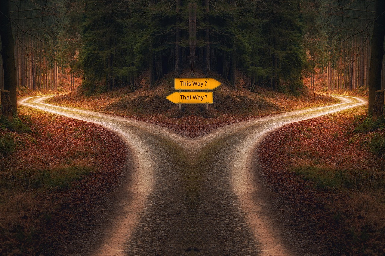 We all are given a choice on how to handle the dissonances we are faced with.